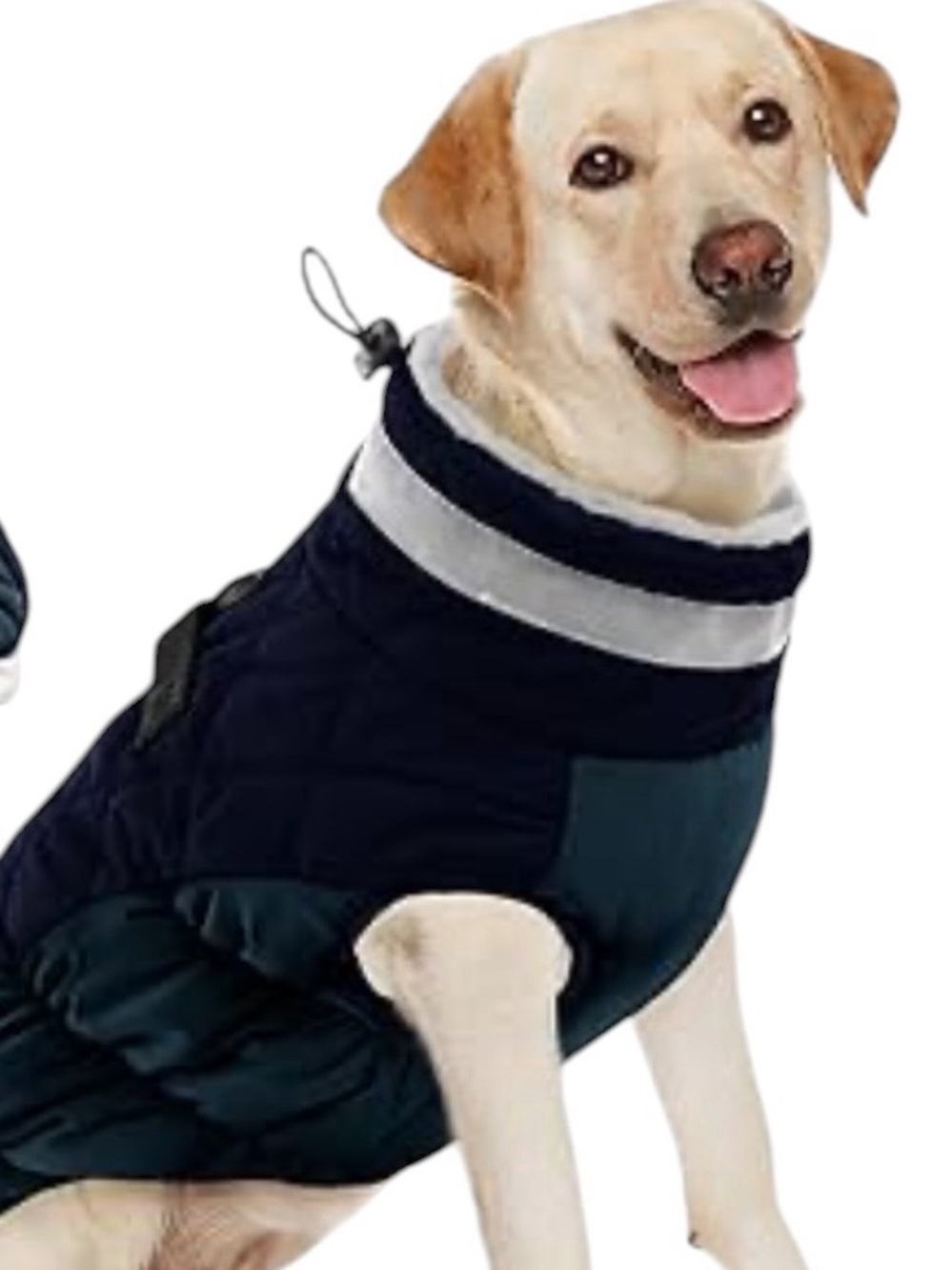 NWOT AOFITEE Dog Coat Reflective  Harness Built In Waterproof Windproof Navy XL